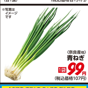 小葱