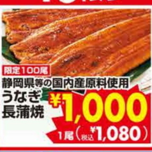 うなぎの蒲焼き