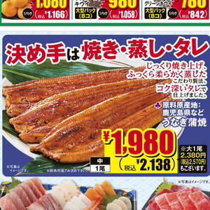 うなぎの蒲焼き