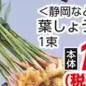 葉生姜