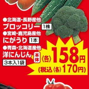 ゴーヤ
