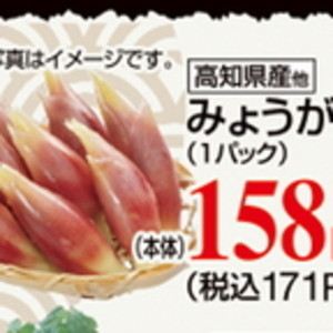 みょうが