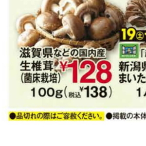 しいたけ