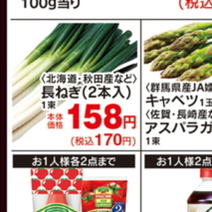 ながねぎ