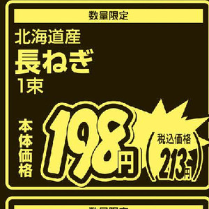 ながねぎ
