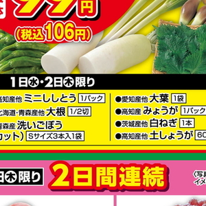 だいこん
