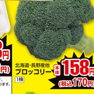 ブロッコリー