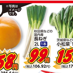 ながねぎ