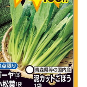 ごぼう