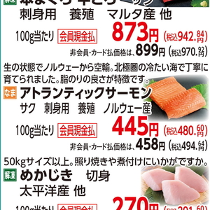 サーモン（さく取り）
