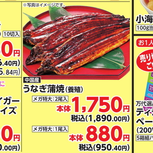うなぎの蒲焼き