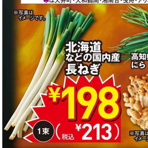 ながねぎ