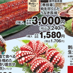 うなぎの蒲焼き