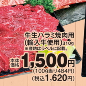 牛肉ハラミ