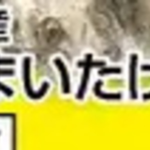 しいたけ
