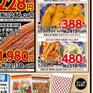 うなぎの蒲焼き