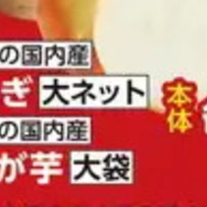 新たまねぎ