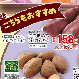 さつまいも