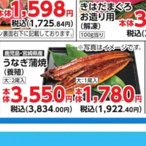 うなぎの蒲焼き