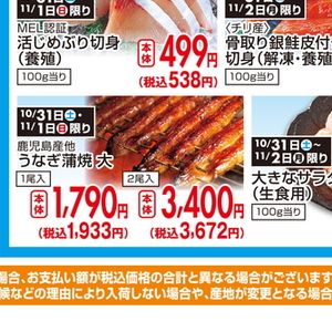 うなぎの蒲焼き