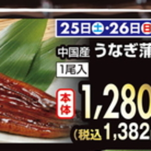 うなぎの蒲焼き