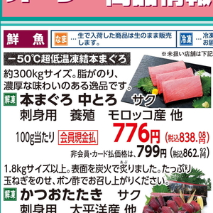 まぐろ中とろ
