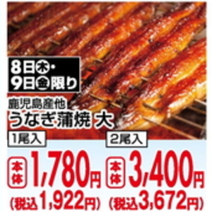 うなぎの蒲焼き