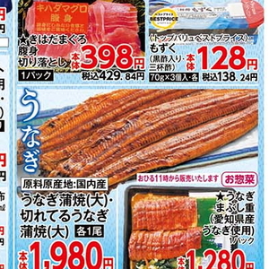 うなぎの蒲焼き
