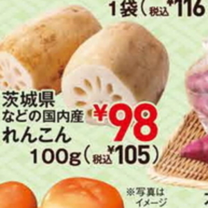 レンコン