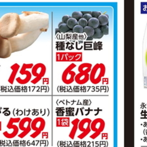新ごぼう