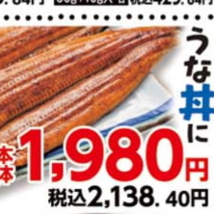 うなぎの蒲焼き
