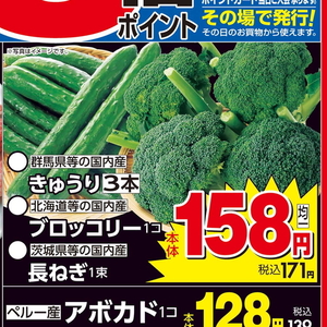ながねぎ