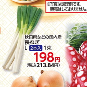 ながねぎ