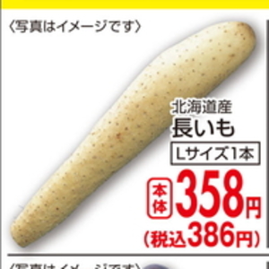 ながいも