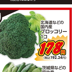 ブロッコリー