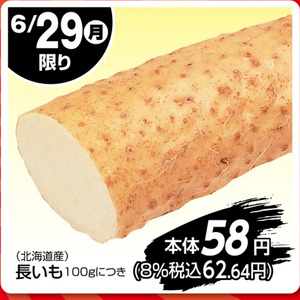 ながいも