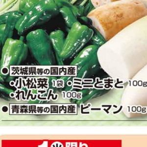 こまつ菜