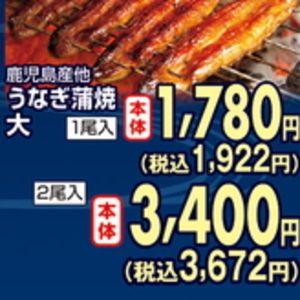 うなぎの蒲焼き