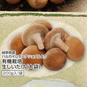 しいたけ