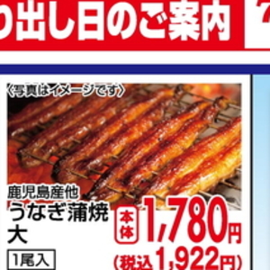 うなぎの蒲焼き
