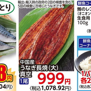 うなぎの蒲焼き