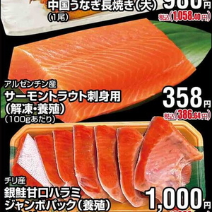 サーモン（刺身）