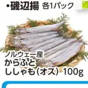 シシャモ