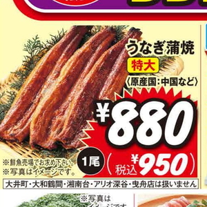 うなぎの蒲焼き