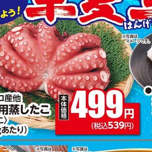 たこ（ボイル）