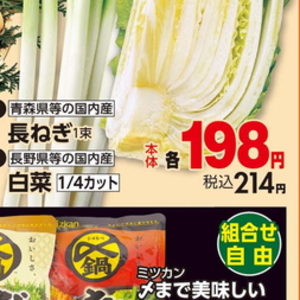 ながねぎ