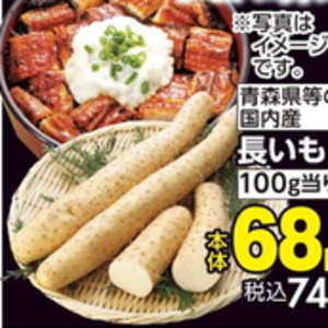 ながいも