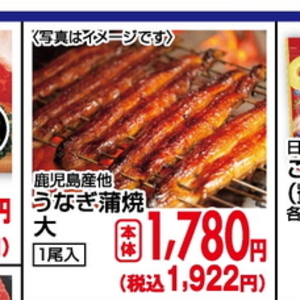 うなぎの蒲焼き
