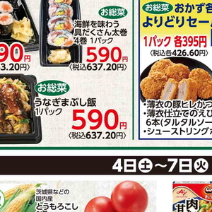 うなぎの蒲焼き