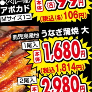 うなぎの蒲焼き